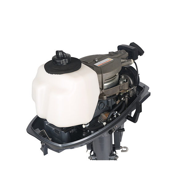 ЛОДОЧНЫЙ МОТОР ALLFA CG T5 в Дербенте