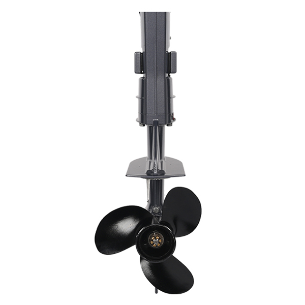 ЛОДОЧНЫЙ МОТОР ALLFA CG T5 в Дербенте