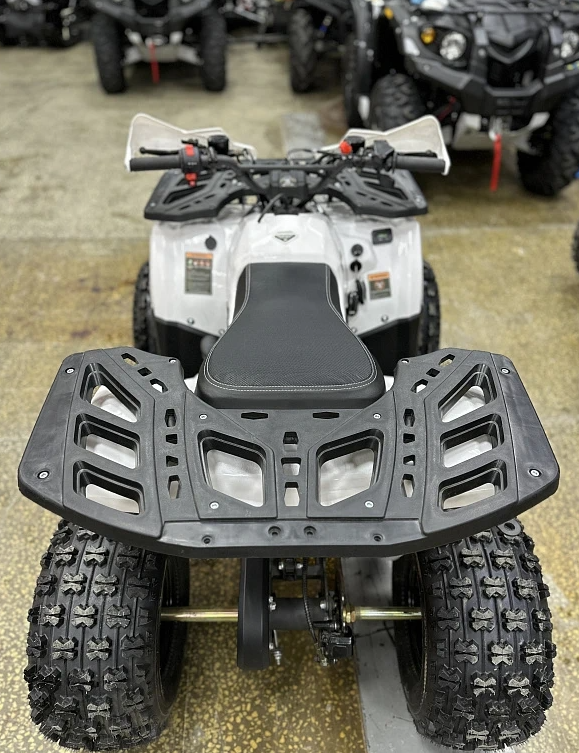 Квадроцикл PROMAX WILD 2.0 190 в Дербенте