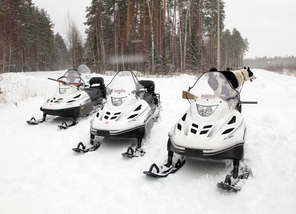 СНЕГОХОД РМ ТАЙГА ВАРЯГ 550 V в Дербенте