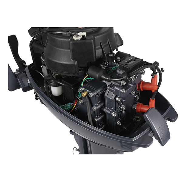 ЛОДОЧНЫЙ МОТОР ALLFA CG Т9,9 Limit в Дербенте