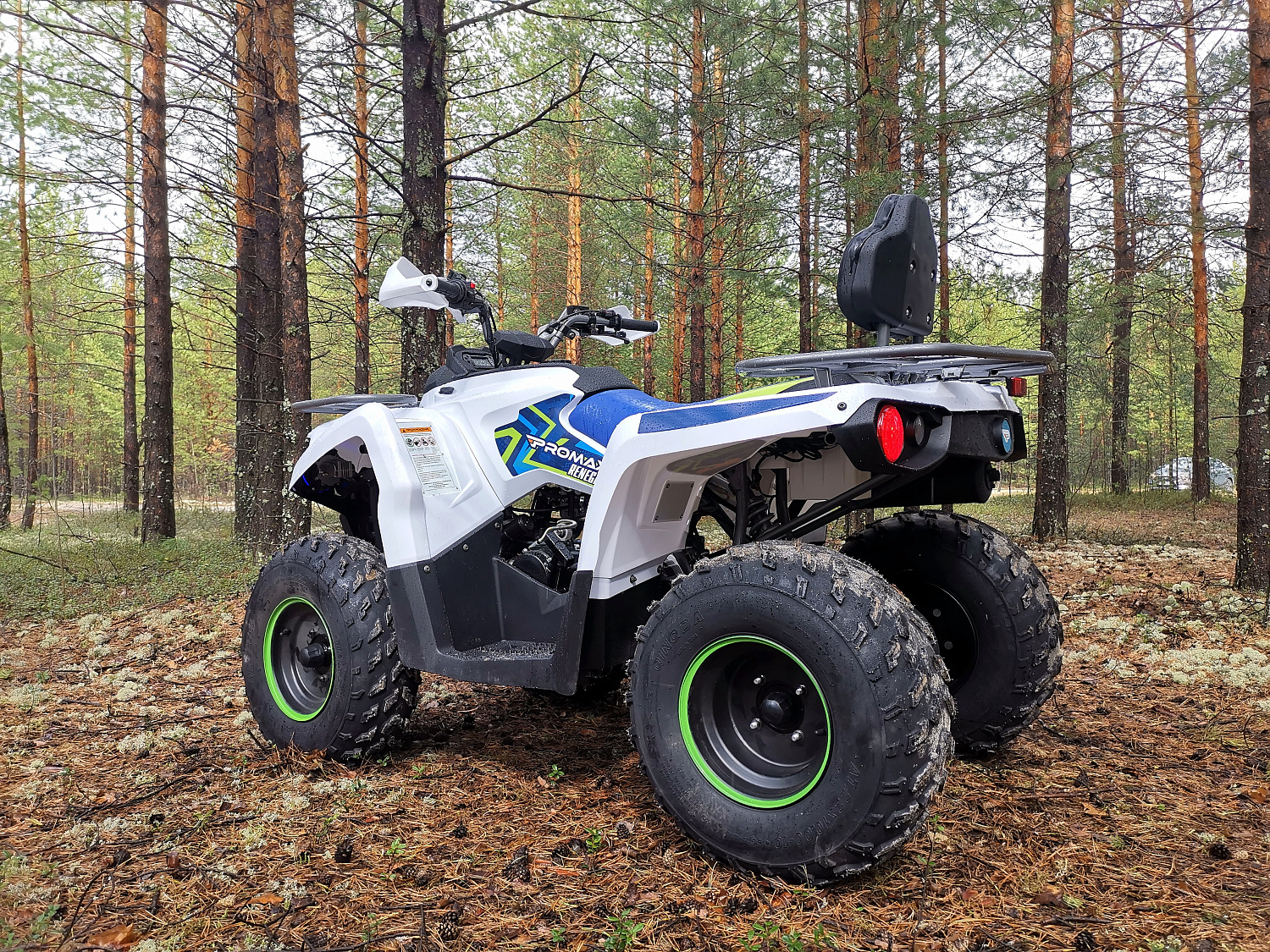 Квадроцикл PROMAX RENEGADE 280 (2025) в Дербенте