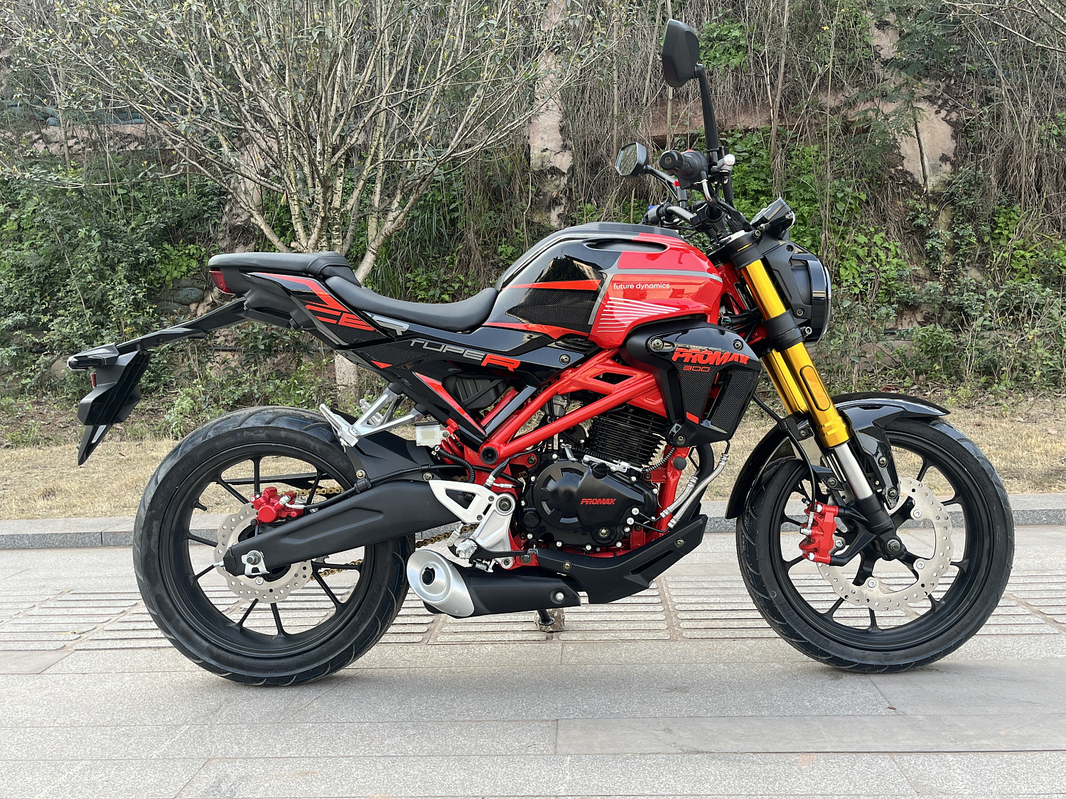 Мотоцикл PROMAX CB300 в Дербенте