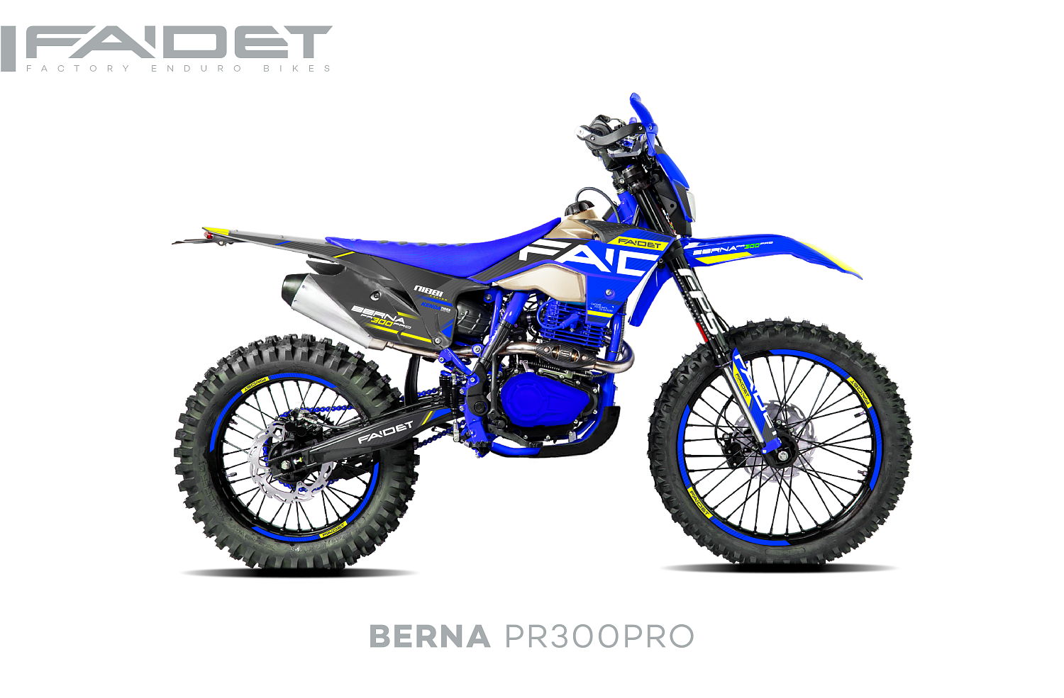 Кроссовый мотоцикл FAIDET BERNA PR300-PRO FPS в Дербенте