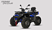 Квадроцикл PROMAX TAURUS 300 MAX-PRO LONG в Дербенте