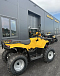 КВАДРОЦИКЛ IRBIS ATV 250  в Дербенте