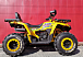 Квадроцикл PROMAX STORM 280 LUX в Дербенте