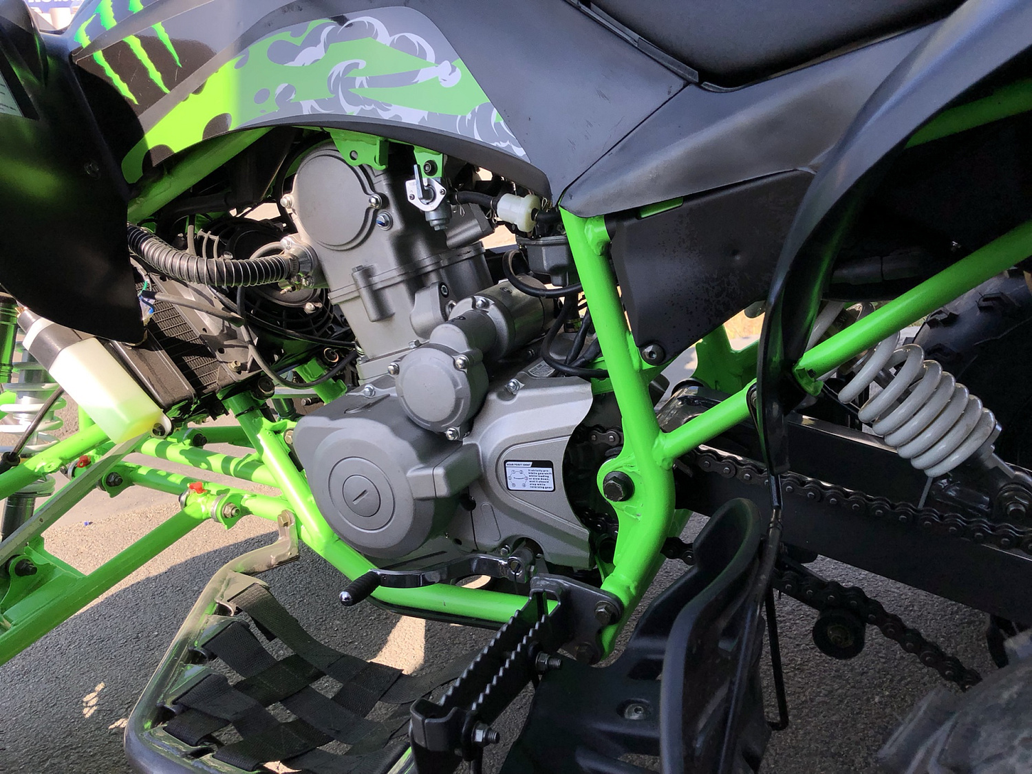 Квадроцикл PROMAX RAPTOR 300 NEW Monster в Дербенте