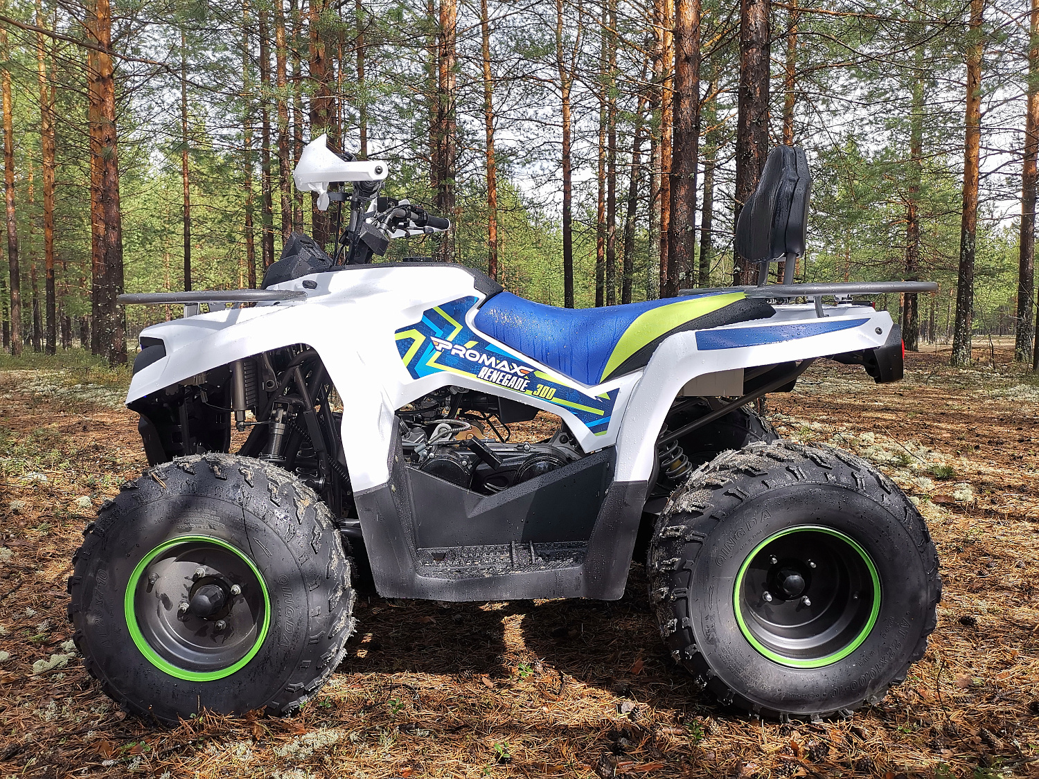 Квадроцикл PROMAX RENEGADE 280 (2025) в Дербенте