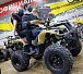Квадроцикл PROMAX ATV 250 (2025) в Дербенте