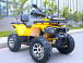 Квадроцикл MOTOLAND (МОТОЛЕНД) VOX200 WILD TRACK X PRO (баланс. вал) в Дербенте