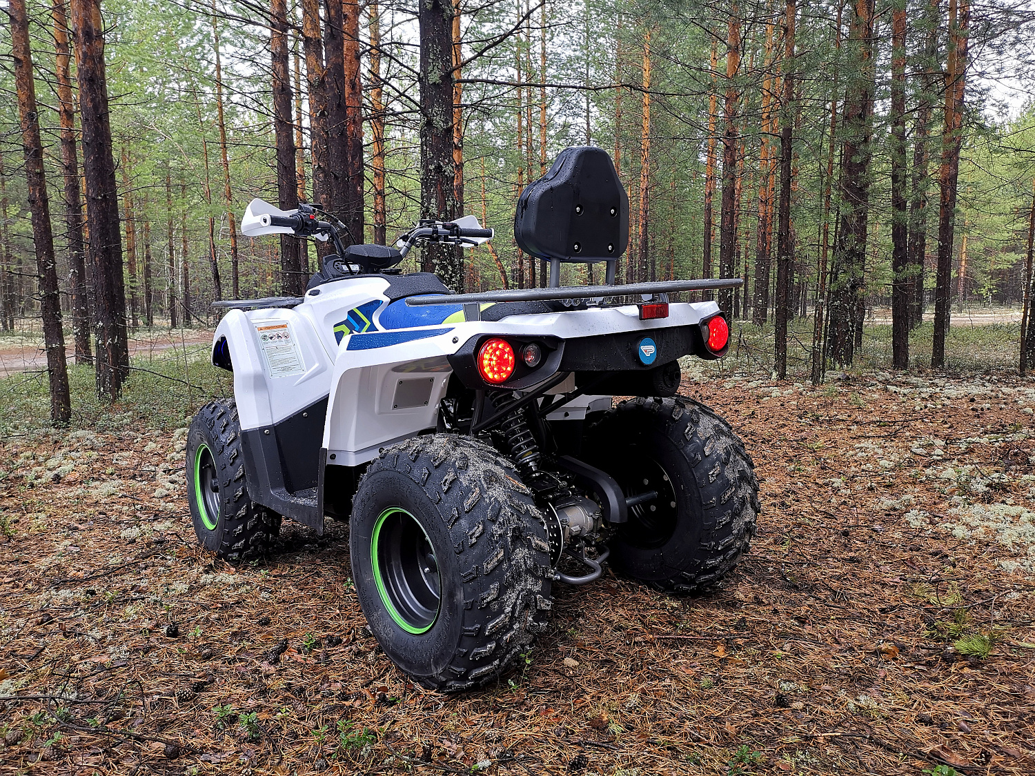 Квадроцикл PROMAX RENEGADE 280 (2025) в Дербенте