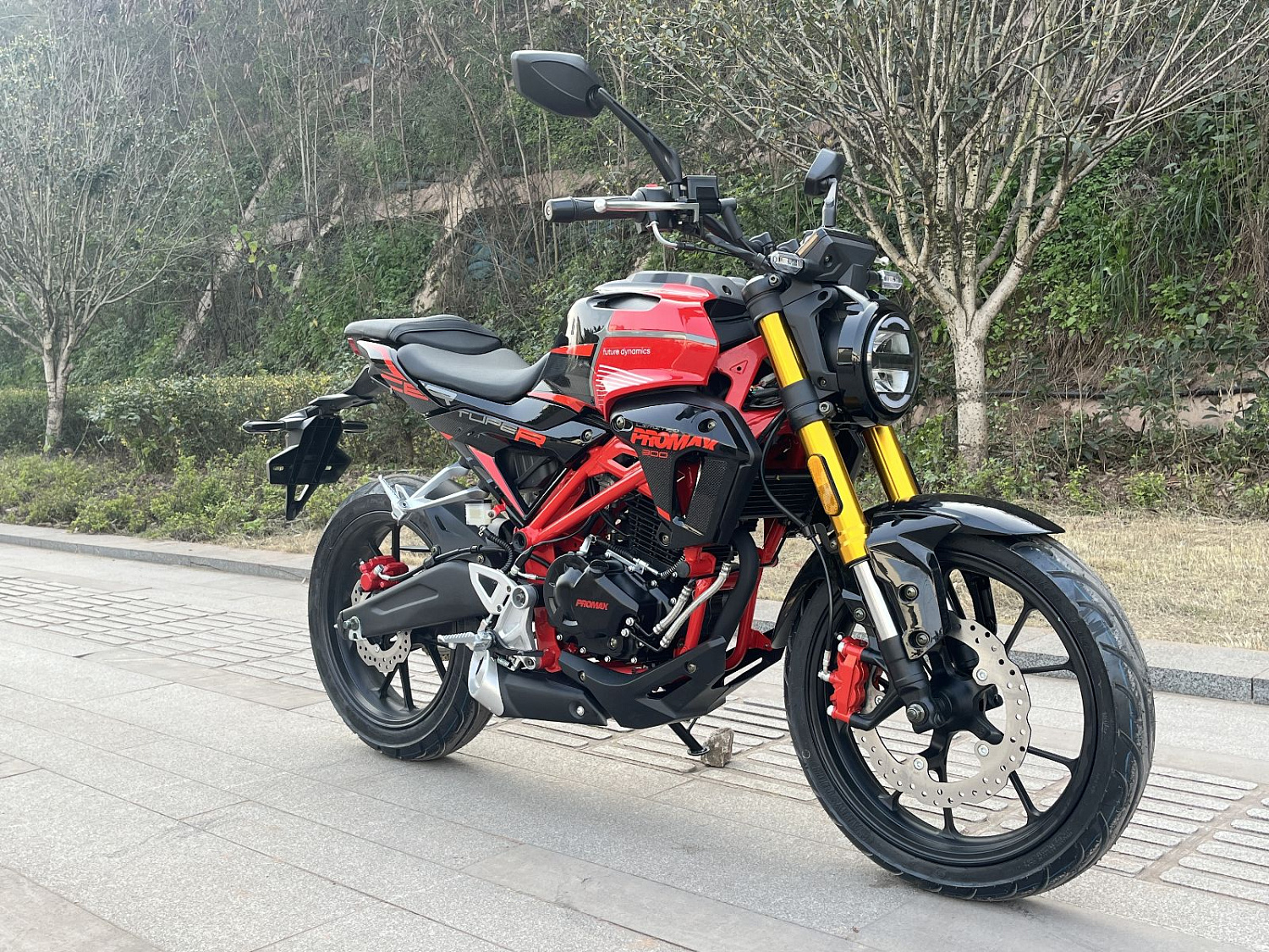 Мотоцикл PROMAX CB300 в Дербенте