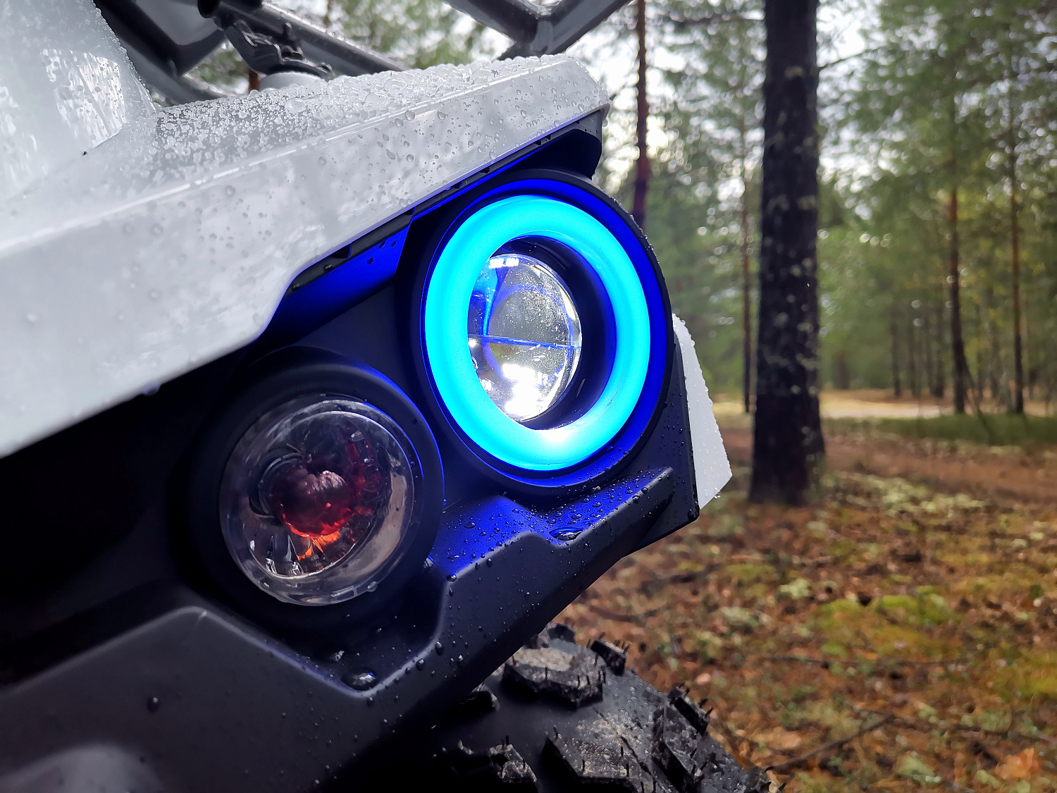 Квадроцикл PROMAX RENEGADE 280 (2025) в Дербенте