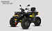 Квадроцикл PROMAX TAURUS 300 MAX-PRO LONG в Дербенте